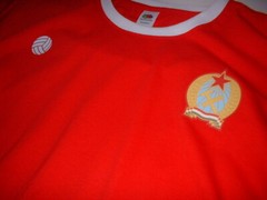 Hungary Puskas S M L XL Football Shirt New Jersey Soccer Fan Cotton Retro Euros