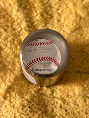Tampa Bay Rays 2oz Stainless Steel Glass New With Tags