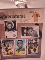 PANINI BRASIL DE TODAS AS COPAS 1919 2014 -BRAZIL WORLD CUP COMPLETE SET — PELE