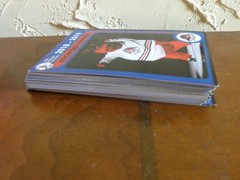 2018-2019 Rockford IceHogs team issue hockey cards 30 Card Lot All Different