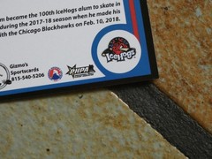 2018-2019 Rockford IceHogs team issue hockey cards 30 Card Lot All Different