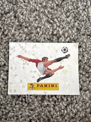 panini logo 00 panini fifa world cup 2026 sticker