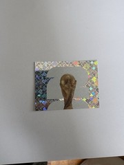 2026 fifa world cup panini sticker FWC 1