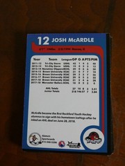 2018-2019 Rockford IceHogs team issue hockey cards 30 Card Lot All Different