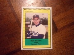 1991 PENINSULA PILOTS ProCards Minor League Single Cards YOU PICK OBO