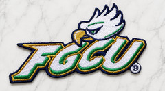 FLORIDA GULF COAST EAGLE NCAA EMBROIDERED IRON ON PATCH 3.15″X2.2″ FREE SHIPPING