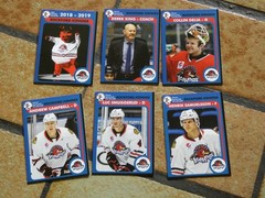 2018-2019 Rockford IceHogs team issue hockey cards 30 Card Lot All Different