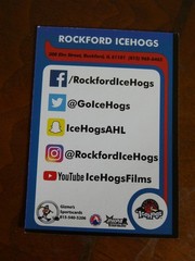 2018-2019 Rockford IceHogs team issue hockey cards 30 Card Lot All Different