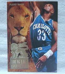 1994-95 Fleer Young Lions #4 Alonzo Mourning Charlotte Hornets Card For Sale