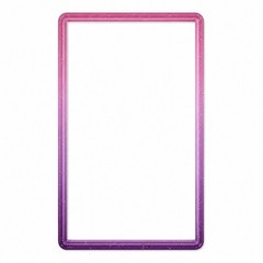 GradedGuard Fuchsia PSA Graded Card Protector Guard Case Limited Edition