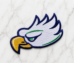 FLORIDA GULF COAST EAGLE NCAA EMBROIDERED IRON ON PATCH 3.15″X2.2″ FREE SHIPPING