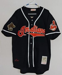 Kenny Lofton Cleveland Indians 1995 World Series Jersey XL Blue