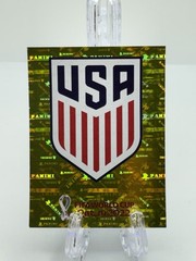 USA2 Team Logo USA # Panini FIFA World Cup Qatar 2022