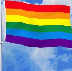 LGBTQ Rainbow Gay Pride Flags 3×5 Outdoor Made in USA- Banner…