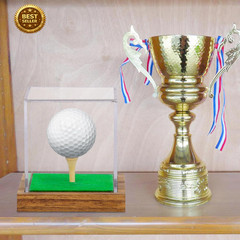 Golf Ball Display Case Acrylic Wood Base UV Protection Single Ball Holder Box