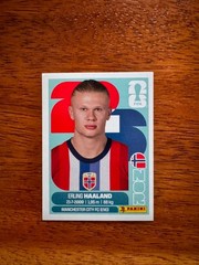 2026 World Cup Panini Stickers — Group 1 (Pick Team & Number)