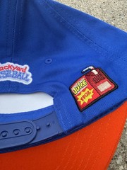 HOT NEW ITEAM !! 2026 NY Mets Backyard Baseball Pablo Sanchez Hat