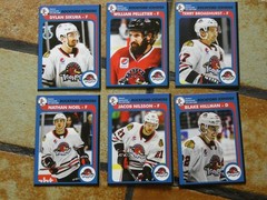 2018-2019 Rockford IceHogs team issue hockey cards 30 Card Lot All Different