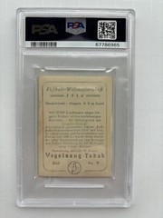 1954 Hungary Vogelsang-Tabak Fußball Weltmeisterschaft “Rare” PSA