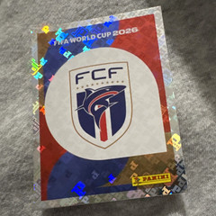 PANINI FIFA WORLD CUP STICKER CPV 1