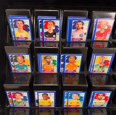 2026 Panini FIFA World Cup Sticker Blue Parallel Complete Lot Group D E F