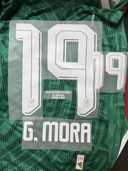 Mexico Third Jersey World Cup Name and Number Set — Iron Pressed G.Mora