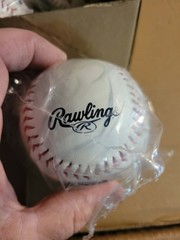 2026 College World Series Rawlings Baseball Troy West Virginia Georgia Ole Miss
