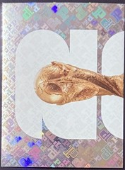 2026 Panini FIFA World Cup Sticker Foil / Foil Team Logo Singles (You Pick)