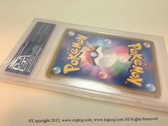 100 LaTCG Clear PSA Graded Card/Grading Submission Semi-Rigid Holder Sleeves