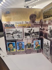 PANINI BRASIL DE TODAS AS COPAS 1919 2014 -BRAZIL WORLD CUP COMPLETE SET — PELE