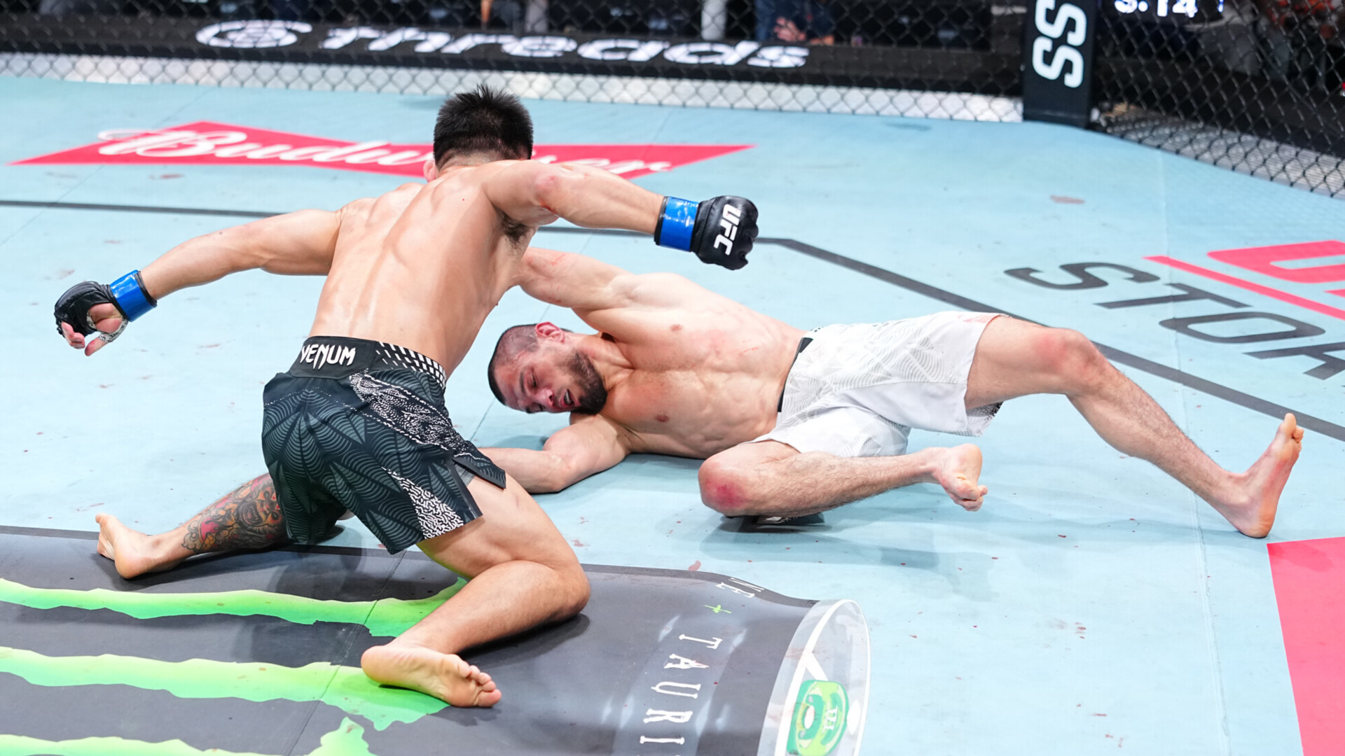 Сун Ядун нокаутом победил Нурмагомедова на турнире UFC Fight Night 286. Видео